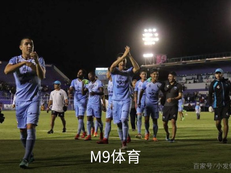 了解M9体育